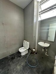 Mapex (D20), Factory #464733581